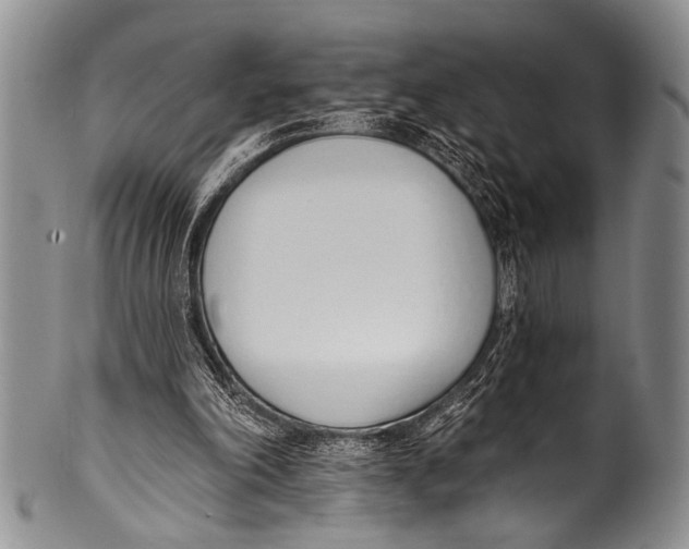 X0000100320198200806261234