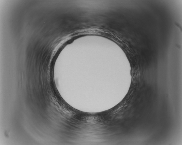 X0000100320200200806261234