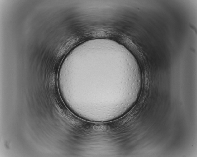 X0000100320202200806261234