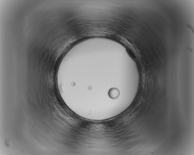 X0000100320203200806261234