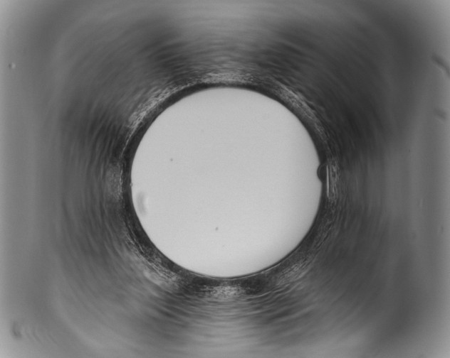 X0000100320204200806261234