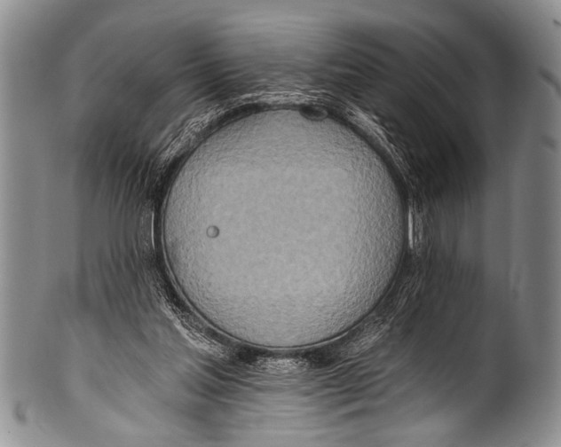 X0000100320205200806261234