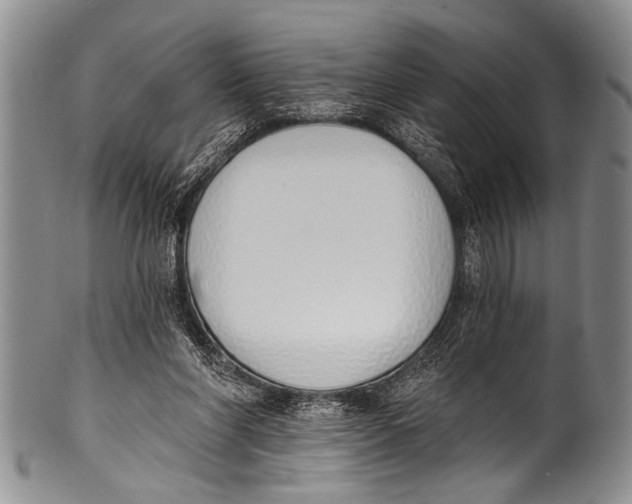 X0000100320206200806261234