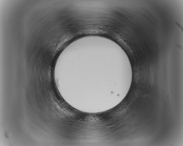 X0000100320207200806261234