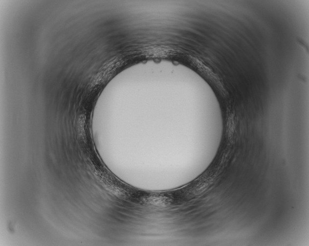 X0000100320209200806261234