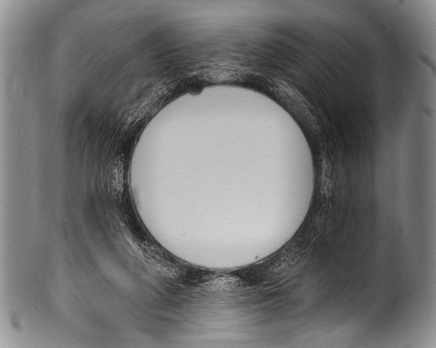 X0000100320210200806261234