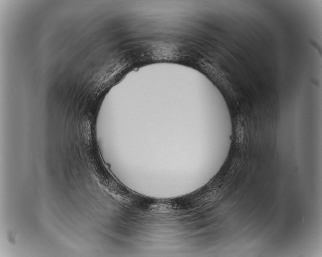 X0000100320211200806261234