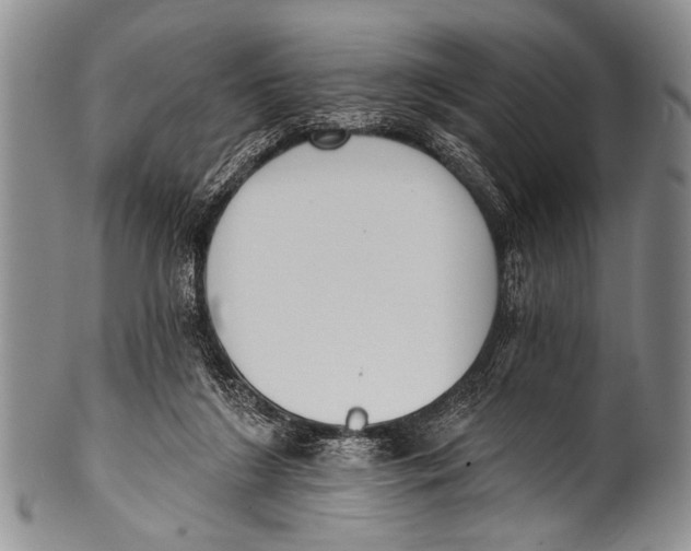 X0000100320212200806261234