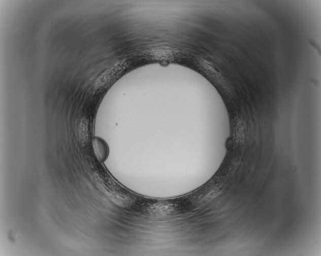 X0000100320213200806261234