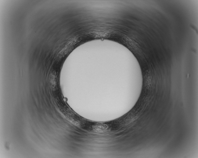 X0000100320215200806261234