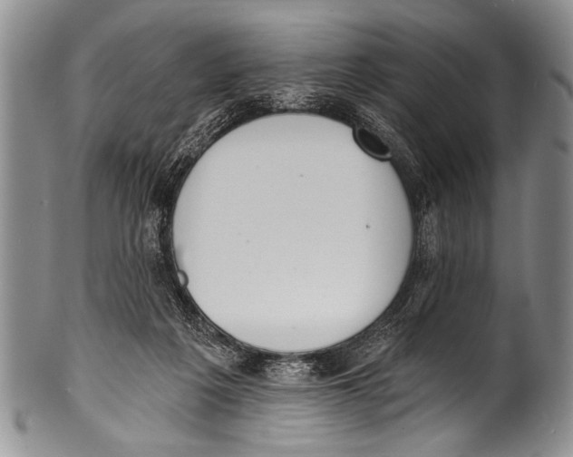 X0000100320217200806261234