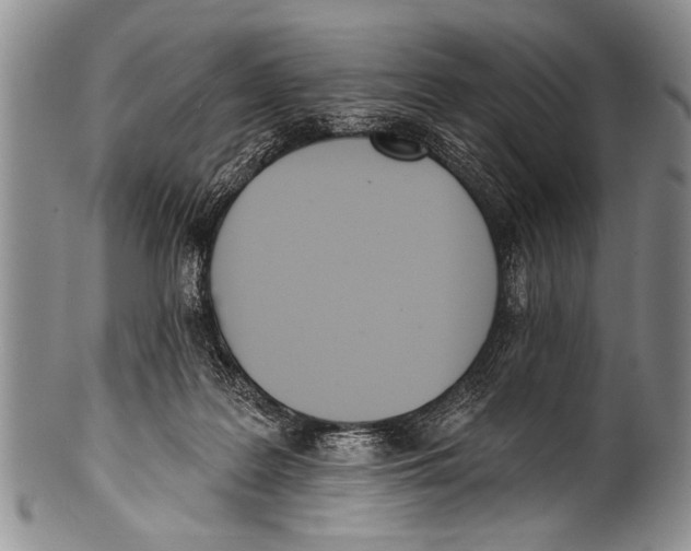 X0000100320219200806261234