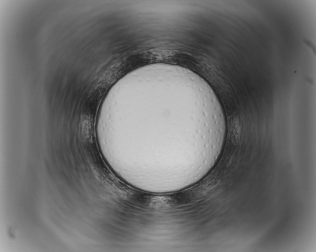 X0000100320222200806261234