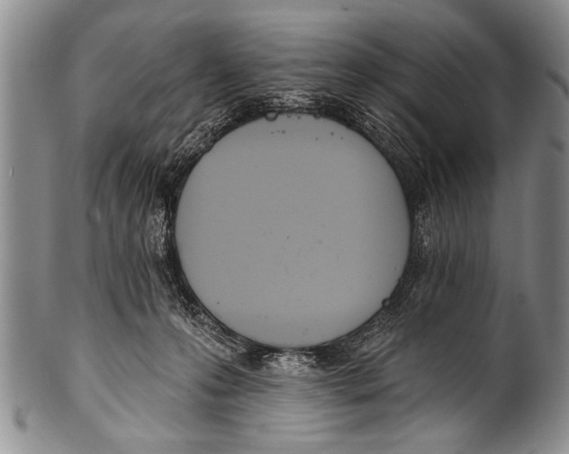 X0000100320223200806261234