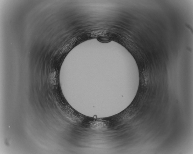 X0000100320224200806261234