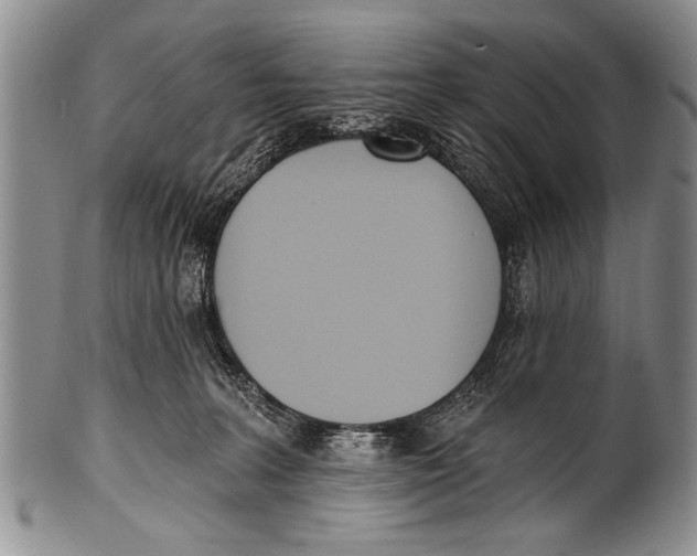 X0000100320227200806261234