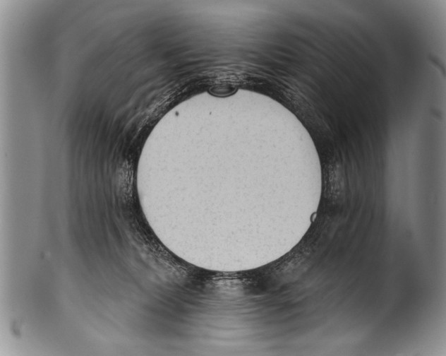 X0000100320228200806261234