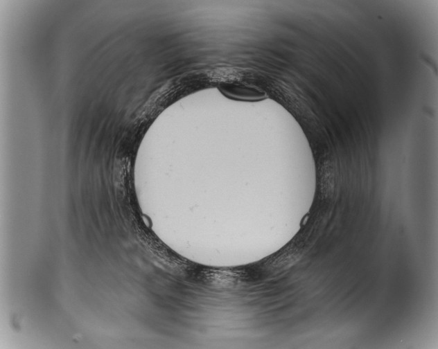 X0000100320229200806261234