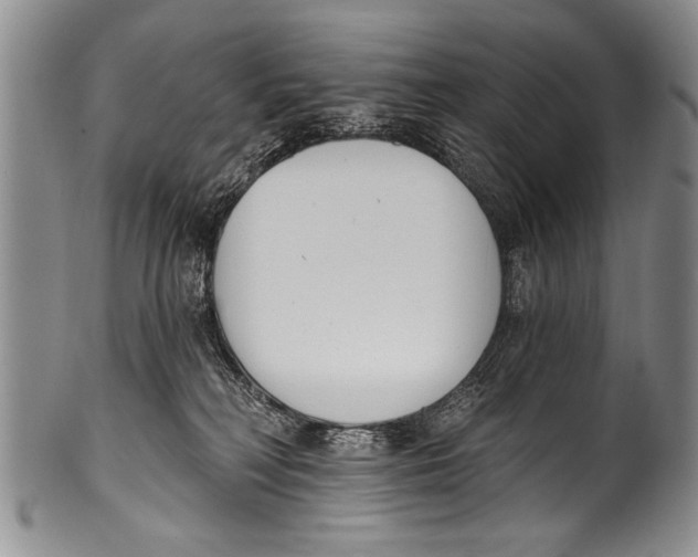 X0000100320230200806261234