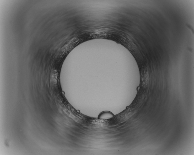 X0000100320231200806261234