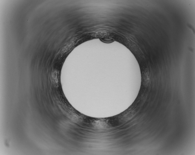 X0000100320232200806261234