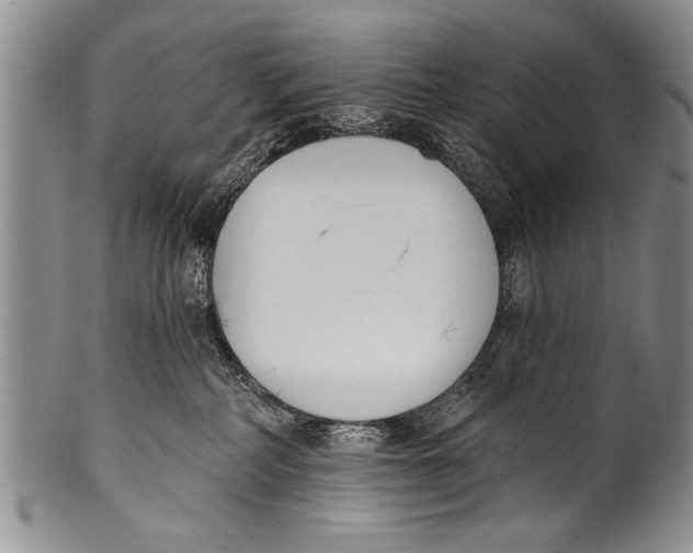 X0000100320234200806261234