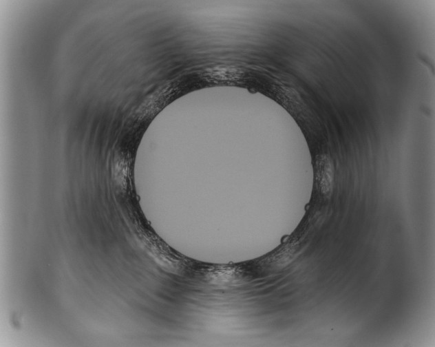 X0000100320235200806261234