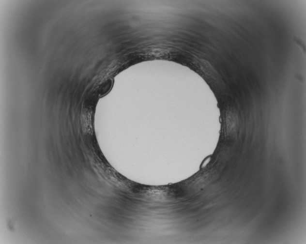 X0000100320236200806261234