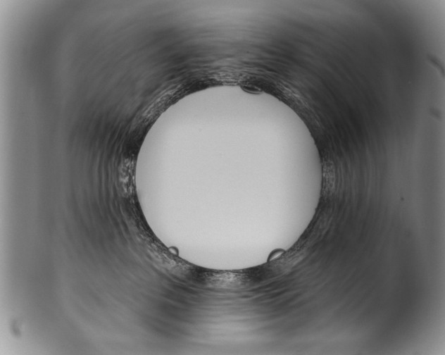 X0000100320237200806261234