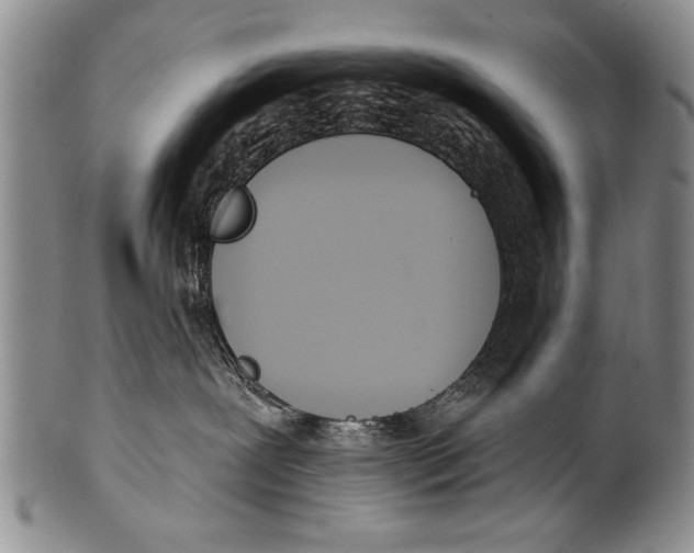 X0000100320239200806261234