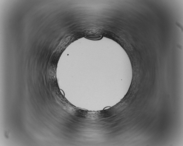 X0000100320240200806261234