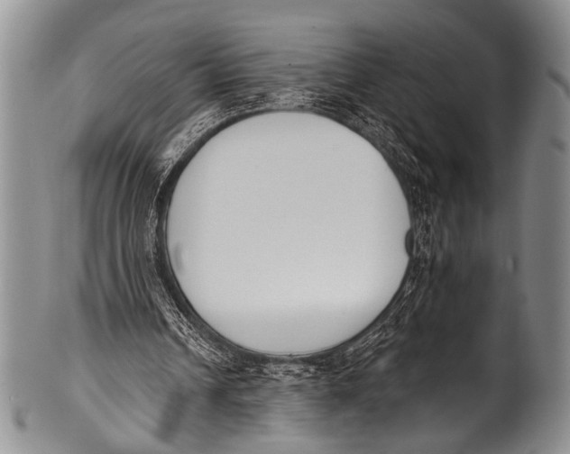 X0000100320242200806261233