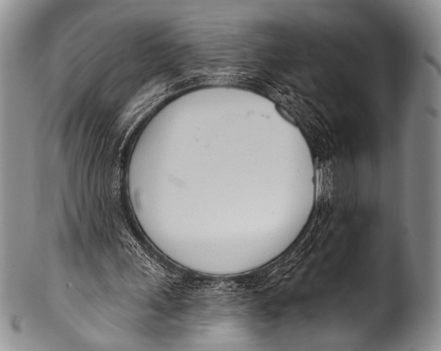 X0000100320243200806261233