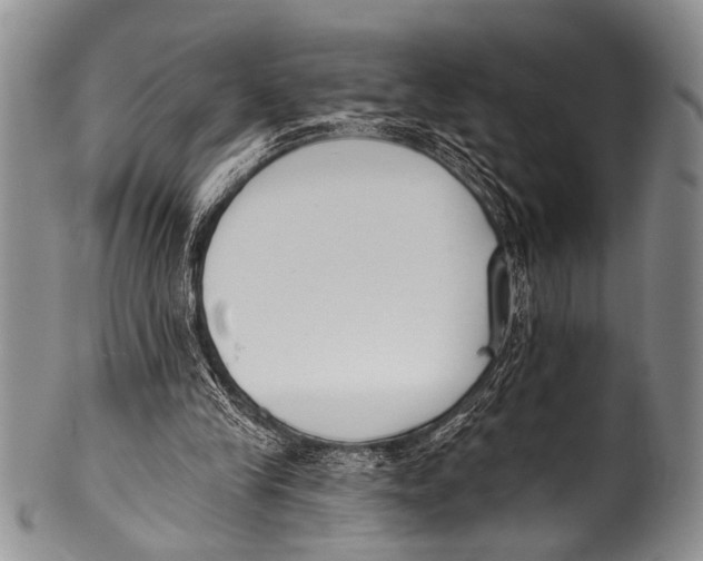 X0000100320245200806261233