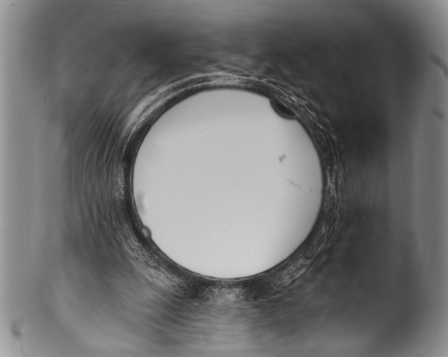 X0000100320247200806261233