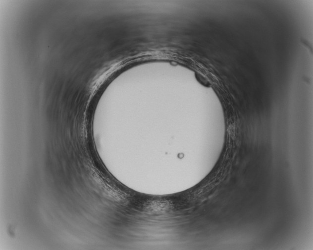 X0000100320248200806261233