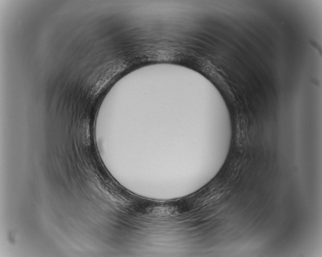 X0000100320251200806261233