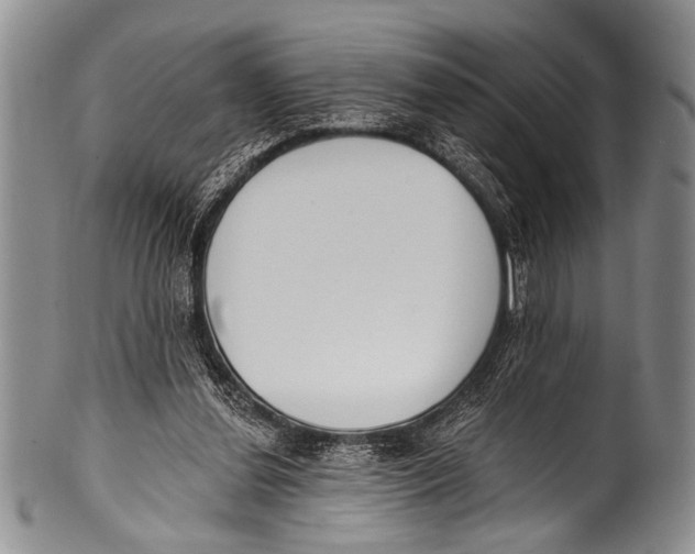 X0000100320252200806261233