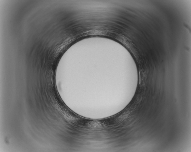 X0000100320253200806261233