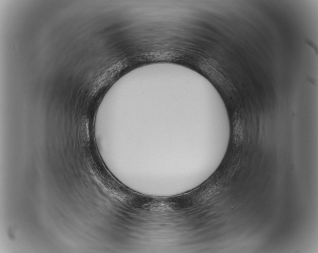 X0000100320254200806261233