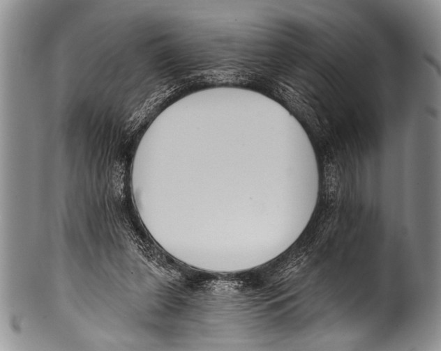 X0000100320255200806261233