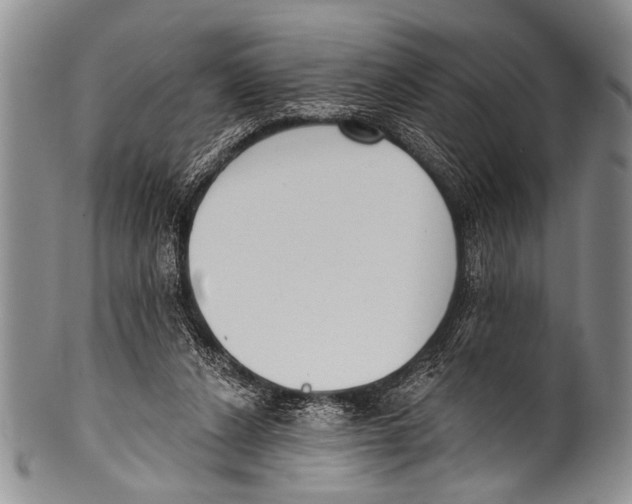 X0000100320256200806261233