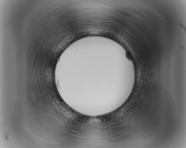 X0000100320257200806261233