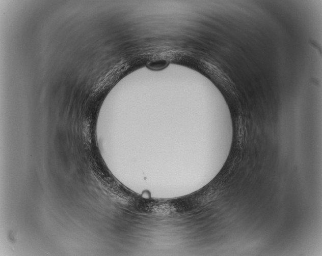 X0000100320258200806261233