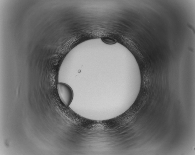 X0000100320259200806261233