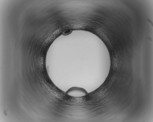 X0000100320260200806261233