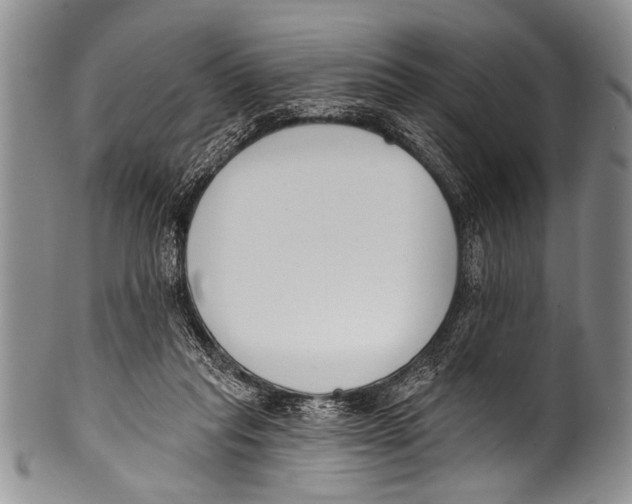 X0000100320261200806261233