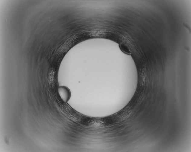 X0000100320263200806261233