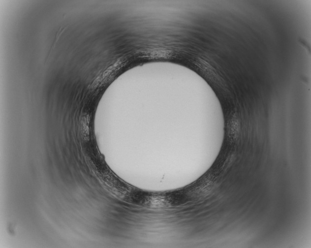 X0000100320264200806261233