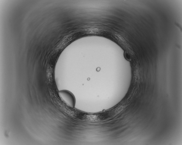 X0000100320265200806261233